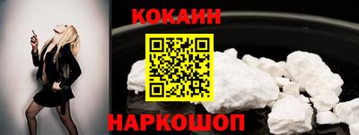 индика Можга
