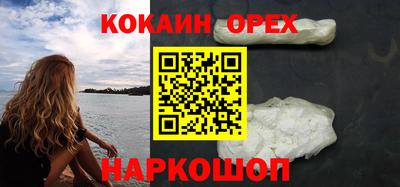 индика Можга