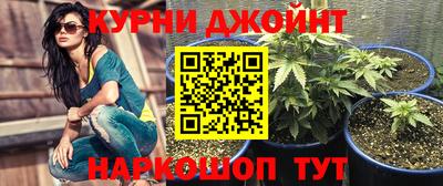 индика Можга