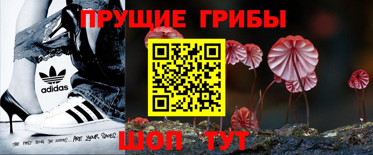 Дедовск  Галлюциногенные грибы мицелий  наркошоп  Вход с VPN 